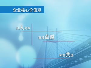 企業(yè)價(jià)值觀(guān)